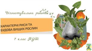 Характерні риси та будова вищих рослин