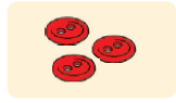 0602ra6i-0598-162x95.png
