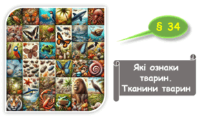   7 клас НУШ. Які ознаки тварин. Тканини тварин