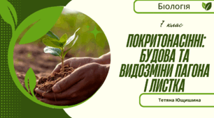 Покритонасінні рослини: будова їхньої бруньки, пагона й листка. 7 клас. НУШ