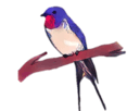 0602rhtl-f619-117x102.png