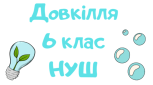 Підсумкова контрольна робота Довкілля НУШ 6 клас за групами діяльності І семестр