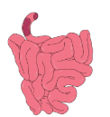 0602rr04-3c58-122x129.png