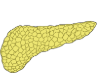 0602rr08-b8fd-140x102.png