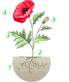 0602rr5y-7c1f-98x115.png