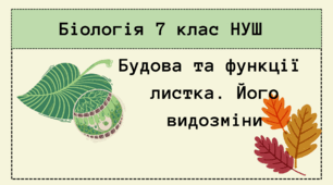 Будова та функції листка. Його видозміни 7 клас НУШ