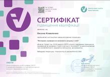  Методика проведення мозкового штурму в хімії 