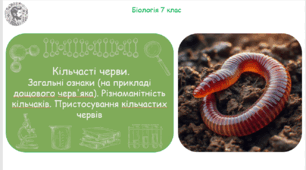 Урок на тему "Кільчасті черви. Загальні ознаки (на прикладі дощового черв'яка). Різноманітність кільчаків. Пристосування кільчастих червів" (Конспект, презентація, робочі аркуші)