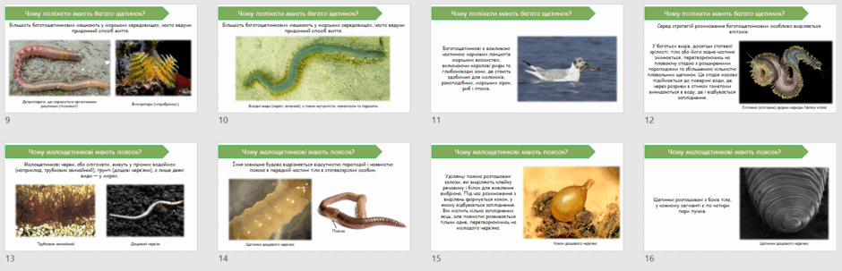 0602rups-a071-940x303.png