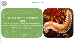 Урок на тему "Різноманітність кільчастих червів. Багатощетинкові черви, Малощетинкові черви, П’явки, загальні ознаки, представники та значення в природі" (Конспект, презентація, робочі аркуші)