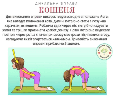 0602rwaz-13b3-368x313.png