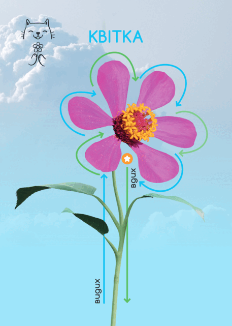0602rwfj-c3f0-457x641.png