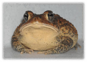 0602rxy0-23a1-293x210.png