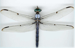 0602ry3h-cb7d-304x195.png