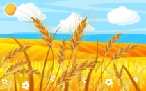 0602s1kl-6aa3-357x224.png
