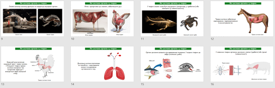 0602s2y5-6ed7-940x301.png