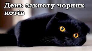 День захисту чорних котів