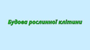 Інтерактивна презентація "Будова рослинної клітини"
