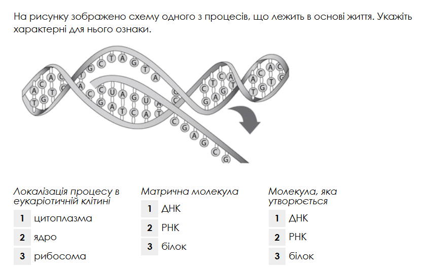 0602s4zt-9485-840x540.png