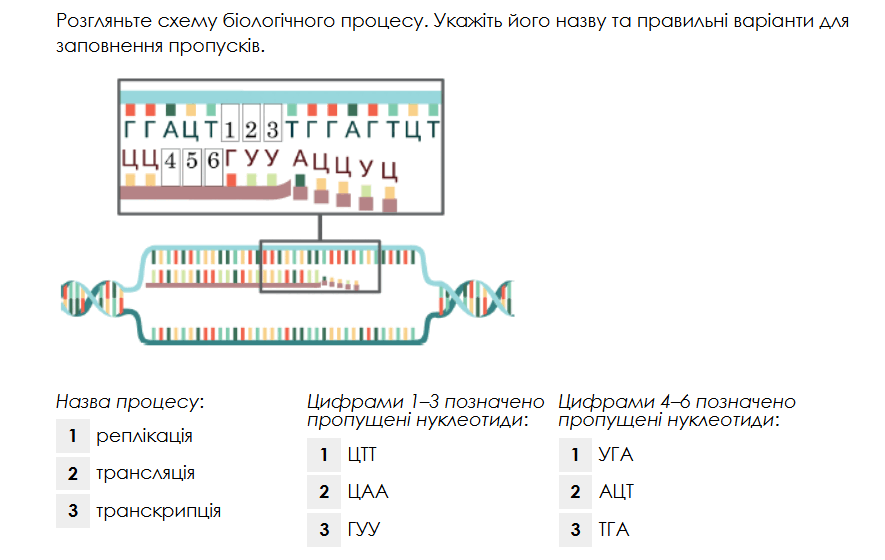 0602s516-e7b4-885x560.png