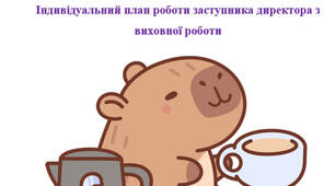 Індивідуальний план роботи заступника директора з виховної роботи