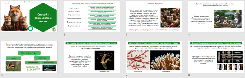 0602s730-54bb-940x300.png