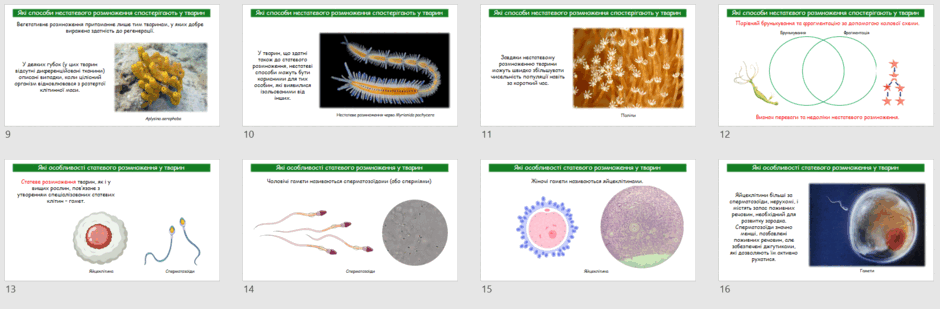 0602s733-a5a1-940x309.png