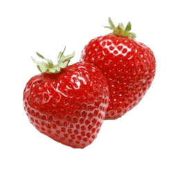 0602sam4-7254-256x256.png
