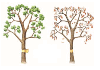 0602say7-0547-207x145.png