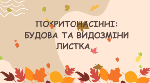 Презентація на тему "Покритонасінні: будова та видозміни листка. "