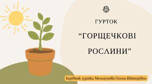 Світло, види та способи освітлення горщечкових рослин.  Світлолюбиві і тіневитривалі рослини.