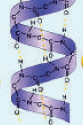 0602sctk-214e-83x125.png
