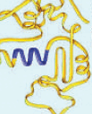 0602scuk-64de-103x127.png