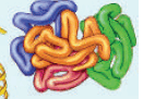 0602scvc-80ab-131x91.png