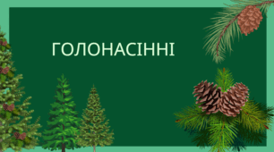 Голонасінні. 7 клас НУШ