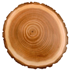 0602sd22-ff5c-233x232.png