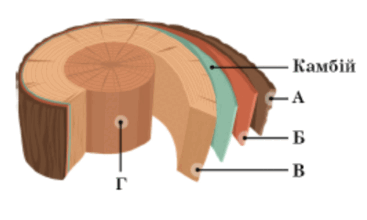 0602sd9b-198e-273x164.png