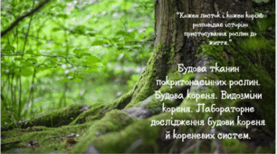 Покритонасінні рослини: тканини та будова кореня. Видозміни кореня. Лабораторне дослідження будови кореня й кореневих систем
