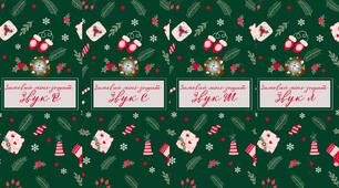 🎄☃️❄️Комплект міні-зошитів на звуки Р,Л,С,Ш 🎄☃️❄️
