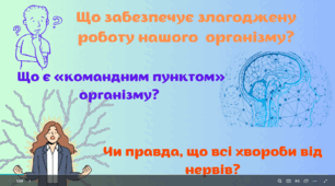 Нервова система і органи чуття людини