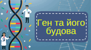 Ген та його будова