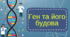 Ген та його будова