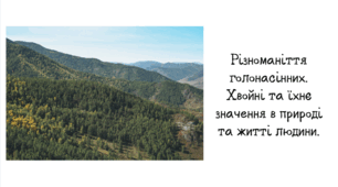 Різноманіття голонасінних. Хвойні та їхнє значення в природі та житті людини.