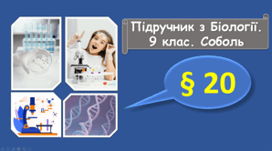 Фотосинтез: світлова та темнова фаза