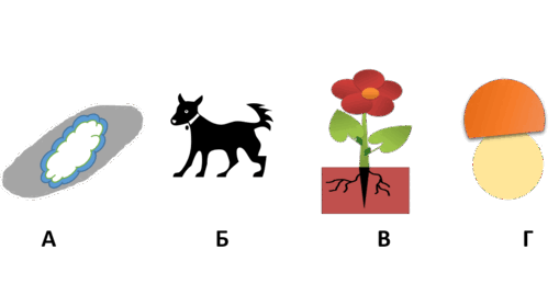 0602slwu-f8a5-509x269.png