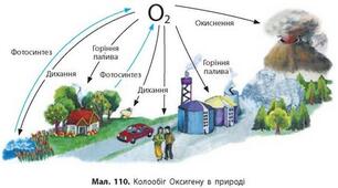 Кисень. Окиснення. Горіння