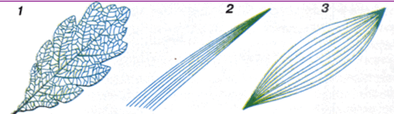 0602srvc-bc2b-575x167.png
