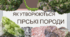 Як утворюються гірські породи