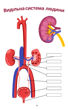 0602sv5m-dae2-222x355.png