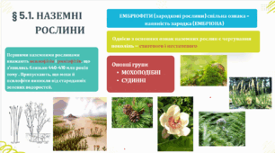 Презентація § 5.1. НАЗЕМНІ РОСЛИНИ. Біологія 7 клас НУШ В.Соболь